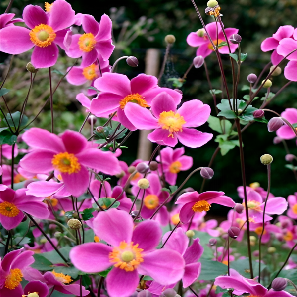 Основное изображение товара