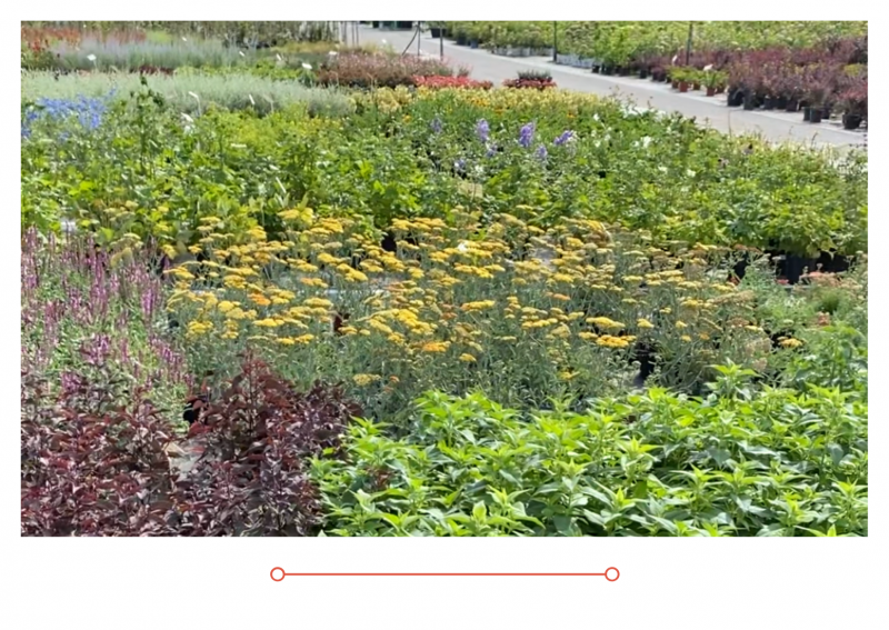 Россия 1 новый выпуск от 01.09.21