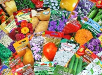 Новое поступление семян! Теперь выбор еще больше!