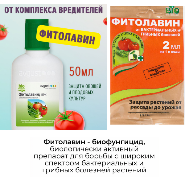 Основное изображение товара