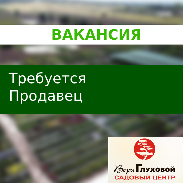 Требуется продавец-консультант Требуется продавец-консультант