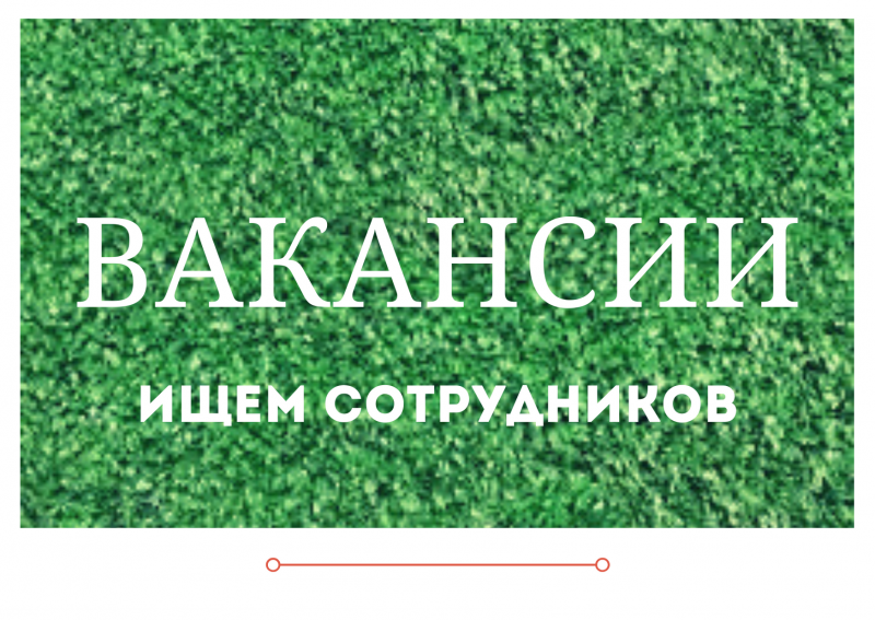 ТРЕБУЮТСЯ СОТРУДНИКИ
