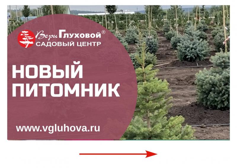 Освоение нового питомника