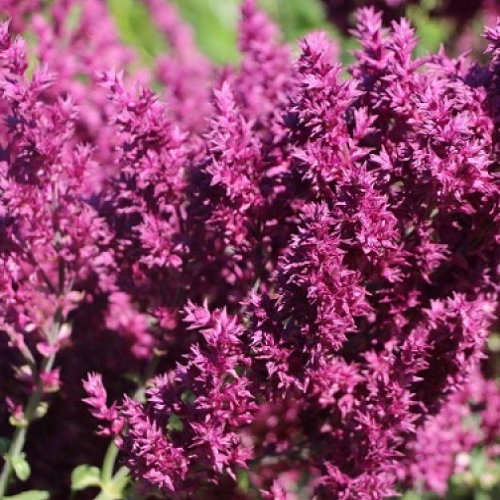 Основное изображение товара