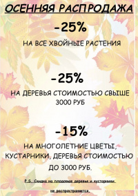Осенняя распродажа 2020