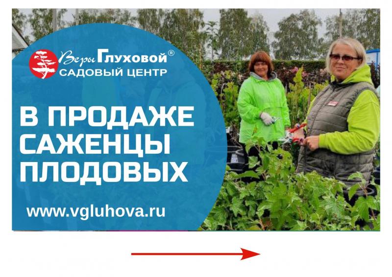 В продажу поступили саженцы плодовых кустарников в контейнере и ОКС