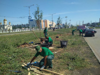 Сегодня значимое событие в Садовом центре Веры Глуховой