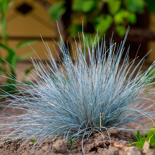 Основное изображение товара