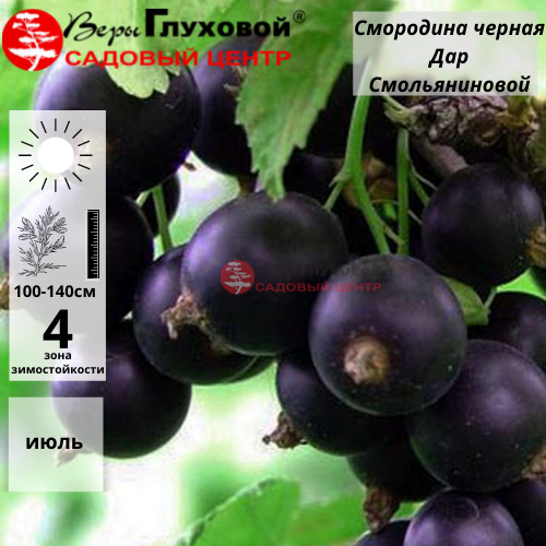 Основное изображение товара