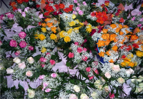 Какие цветы дарить? Какие цветы дарить?