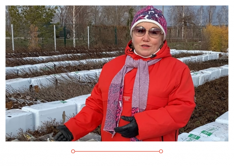 Дачные советы новый выпуск от 15.11.21