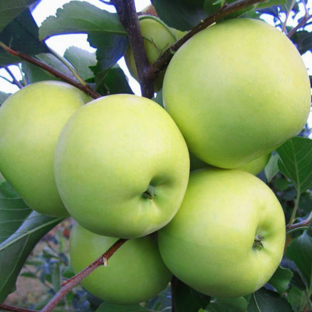 Рисунок 268.jpg