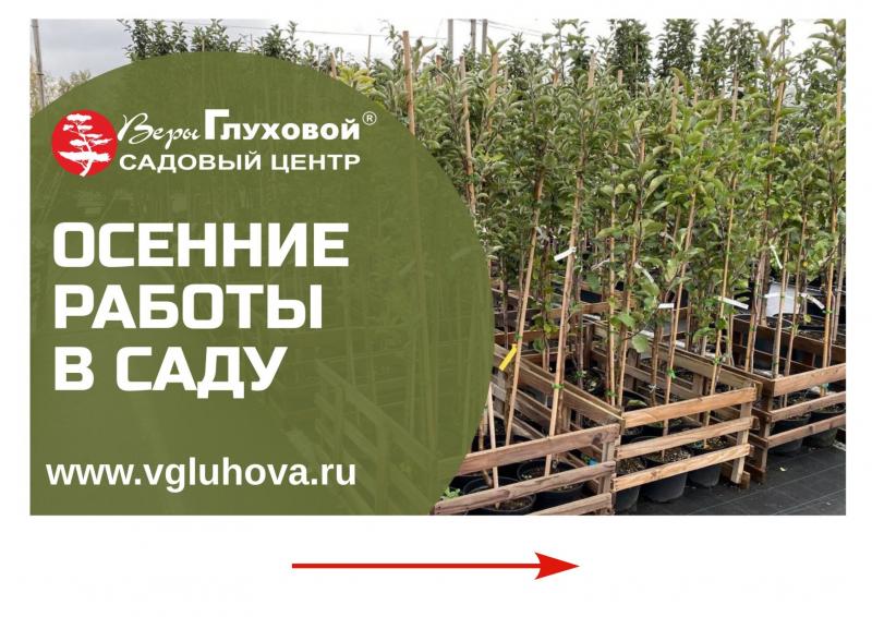 Подготовка осеннего сада к зиме