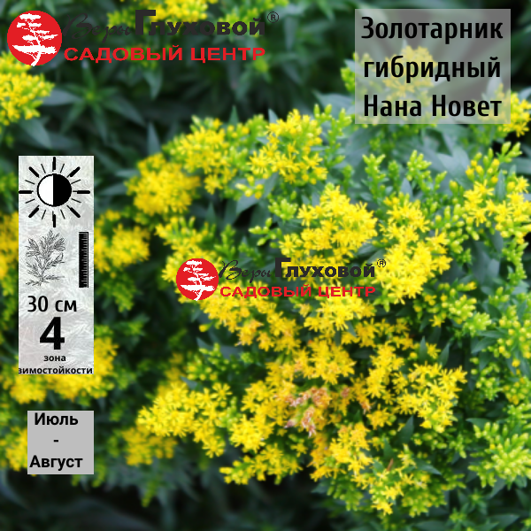 Основное изображение товара