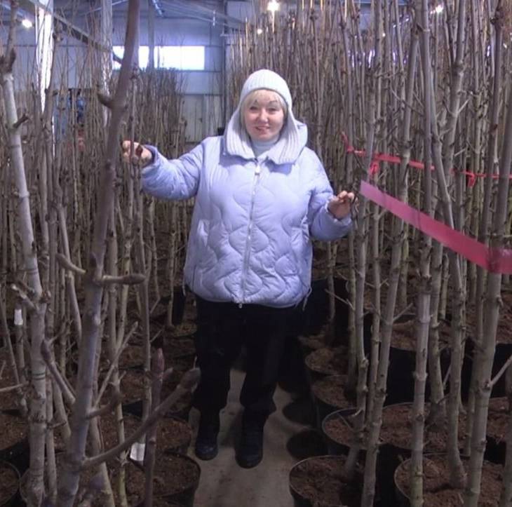 Подготовка к сезону 2024!