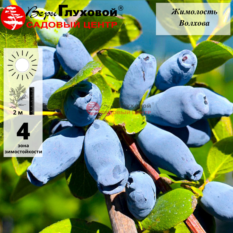 Рисунок 57.jpg