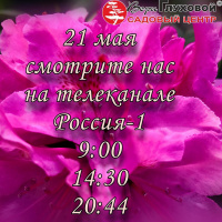 21 мая новый выпуск на Россия-1