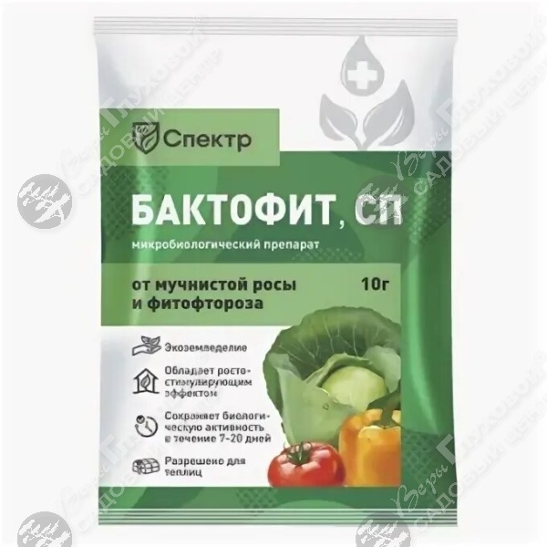 Бактофит на фото