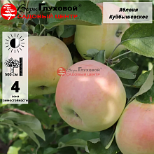 Основное изображение товара