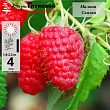 Малина 