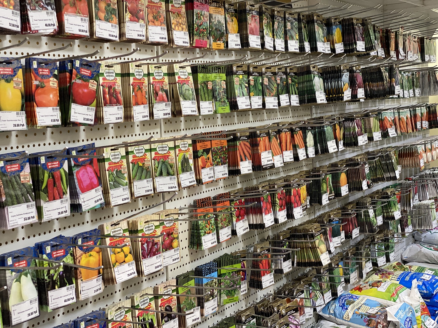 НОВОЕ ПОСТУПЛЕНИЕ СЕМЯН ОТ ФИРМЫ ПОИСК