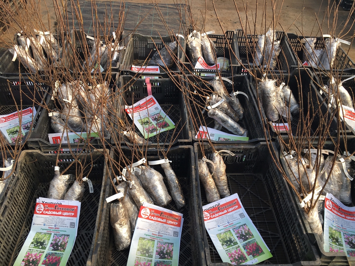 Началась отгрузка заказов