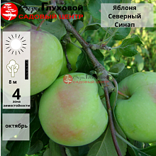 Рисунок 321.jpg