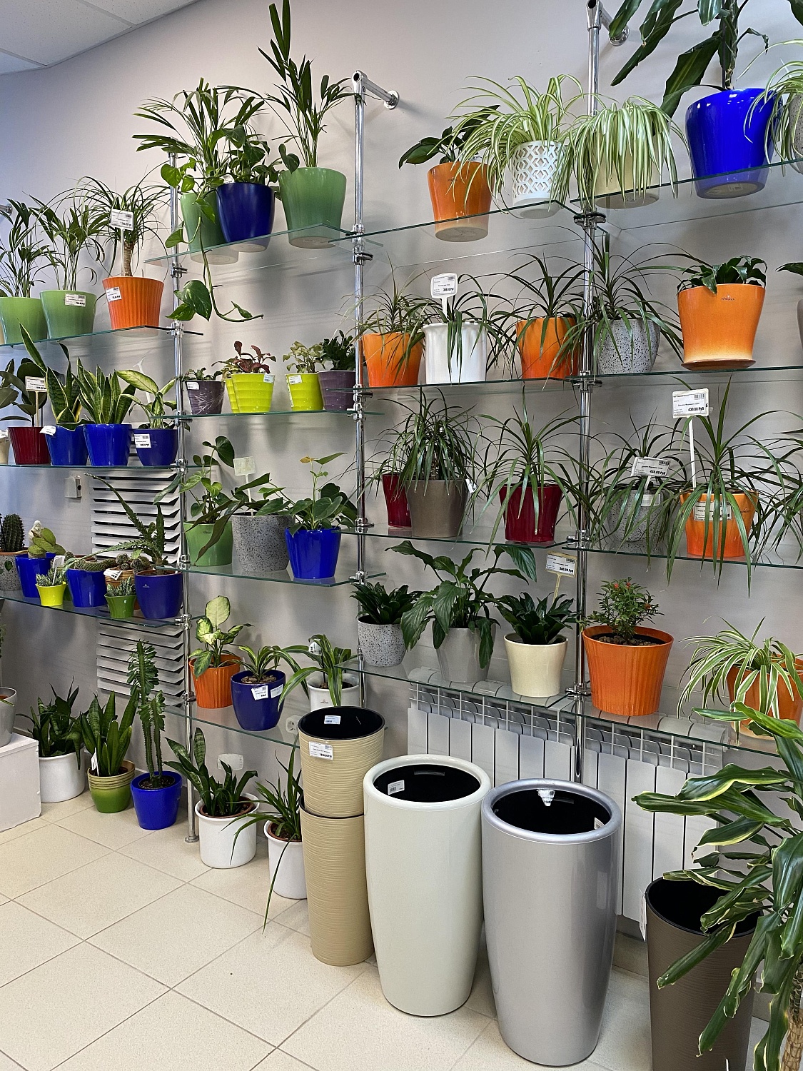 АКЦИЯ: скидка -50% на керамику, -30% на комнатные растения