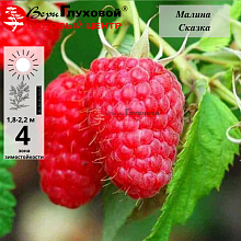 Основное изображение товара