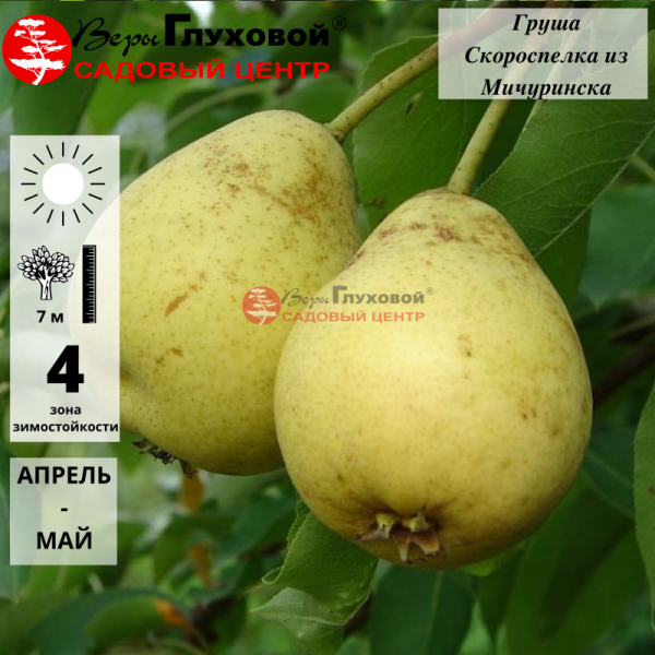 Основное изображение товара