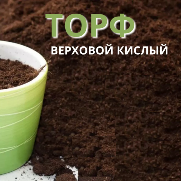 Основное изображение товара