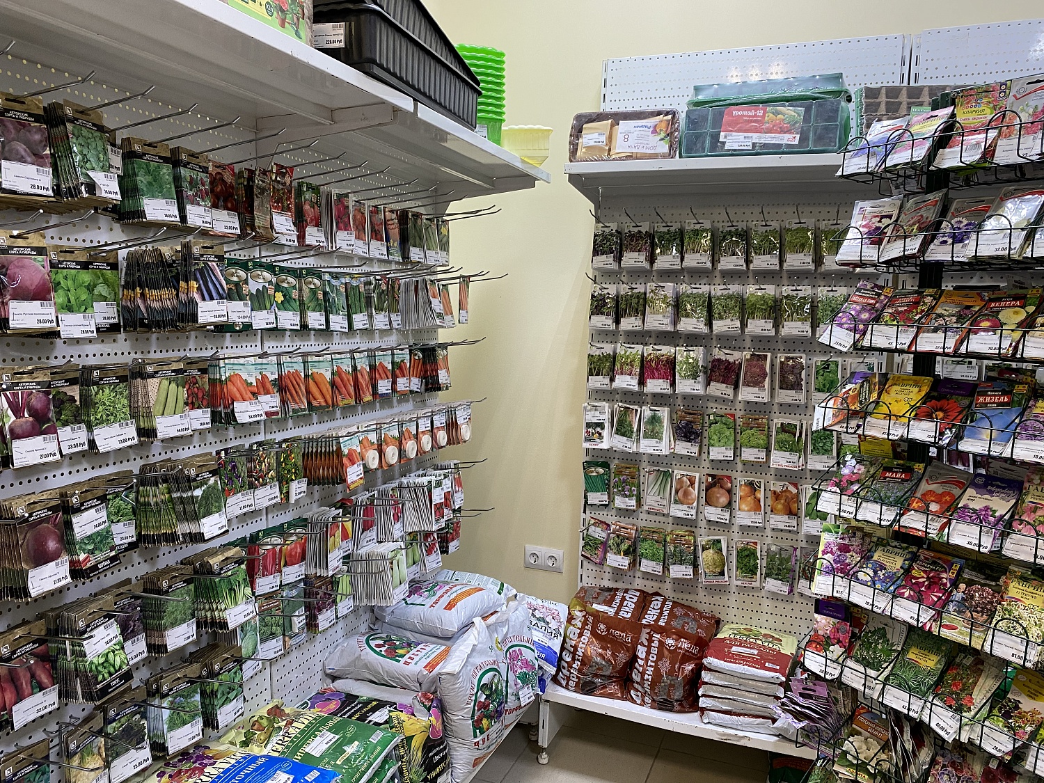 НОВОЕ ПОСТУПЛЕНИЕ СЕМЯН ОТ ФИРМЫ ПОИСК